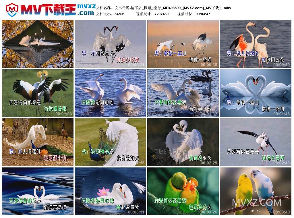 玄鸟传说-情不多_国语_流行_MD403609